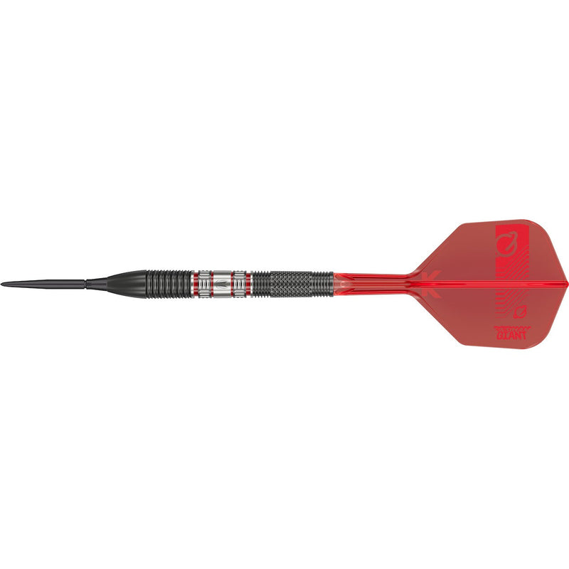 GABRIEL CLEMENS 95K STEEL TIP DARTS