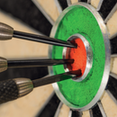 Winmau Plasma Surround Set Black