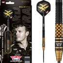 Bull's Richard Veenstra E2 90% Steeldarts