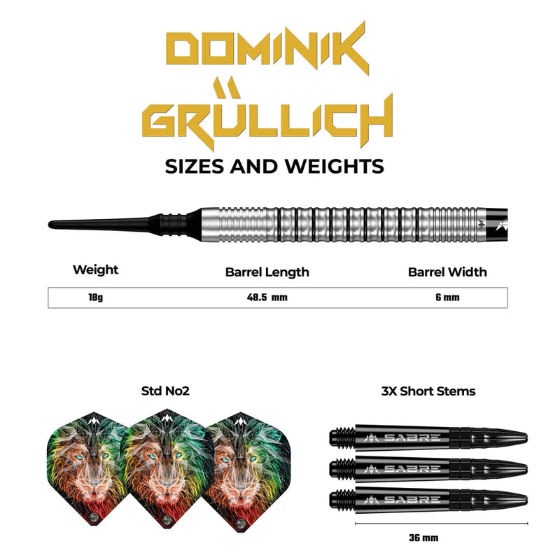 Mission Dominik Grüllich 90% Softdarts