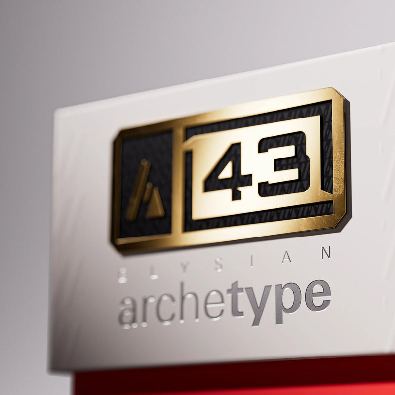ELYSIAN ARCHETYPE 43 95% STEEL TIP DART 2025