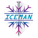 Hardcore Gerwyn Price Rainbow Flights