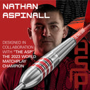 Nathan Aspinall Brass Steeldarts