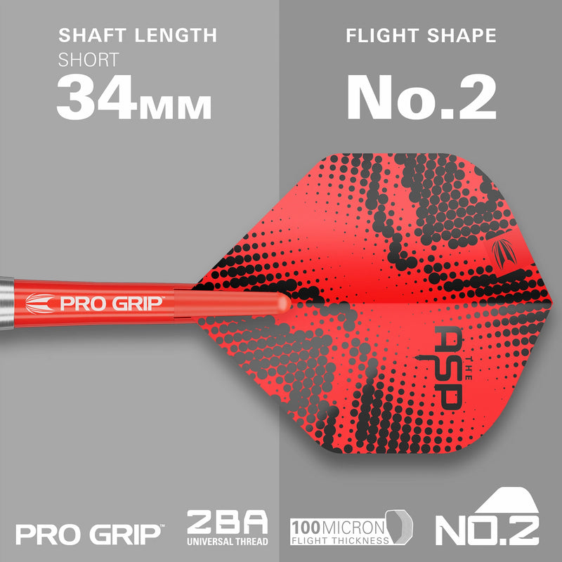 Nathan Aspinall Brass Steeldarts