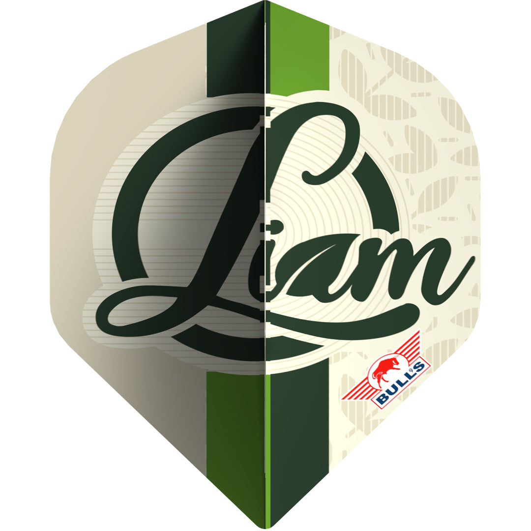 Bull's Liam Maendl-Lawrance 90% Steeldarts - DreamDarts Dartshop
