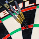 Dirk van Duijvenbode CP 95% Steeldarts - DreamDarts Dartshop