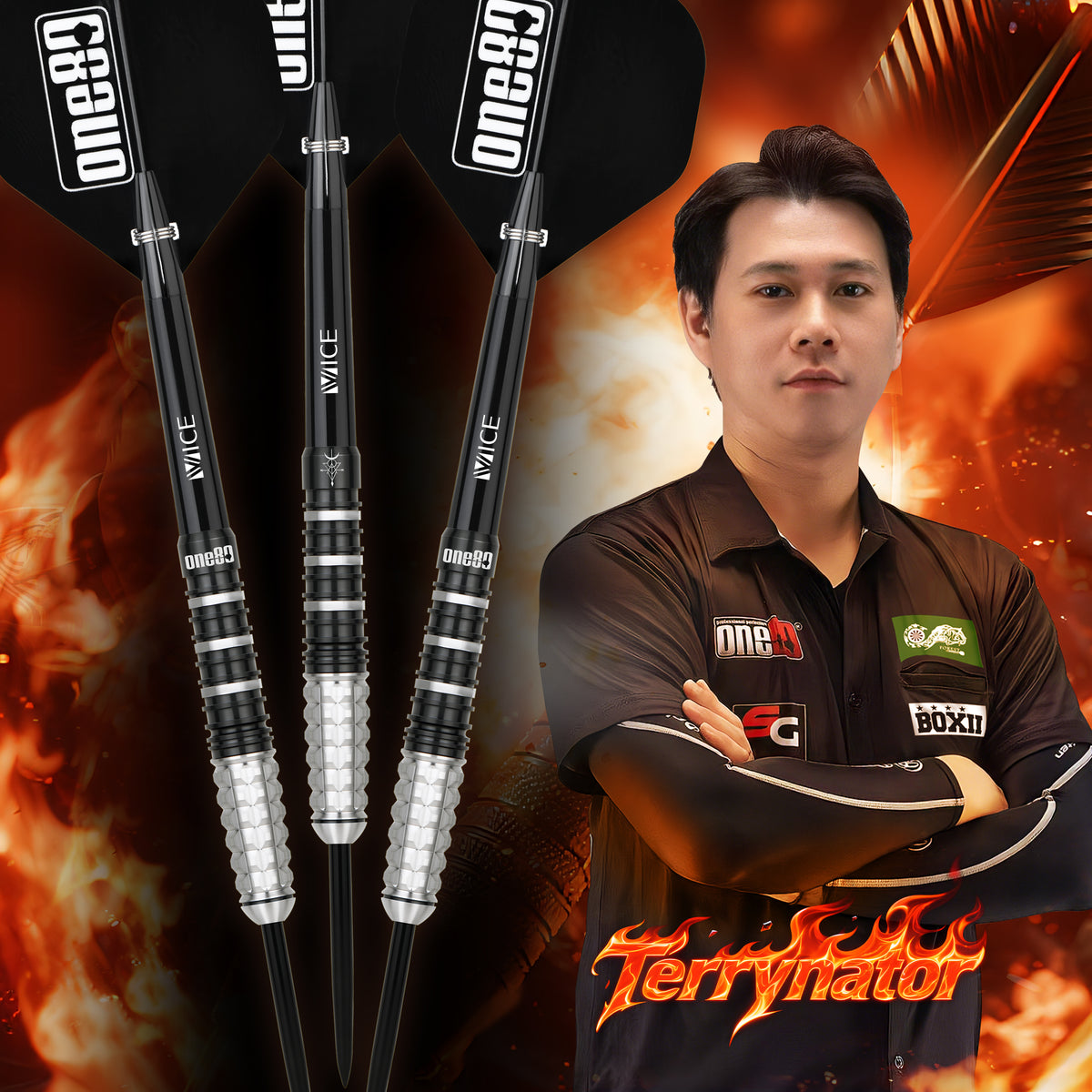 Terry Tan "Terrynator" 90% Signature Steeldarts - DreamDarts Dartshop