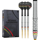 Precise 180 Ricardo Pietreczko 90% Steeldarts - DreamDarts Dartshop