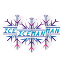 Hardcore Gerwyn Price Rainbow Flights - DreamDarts Dartshop