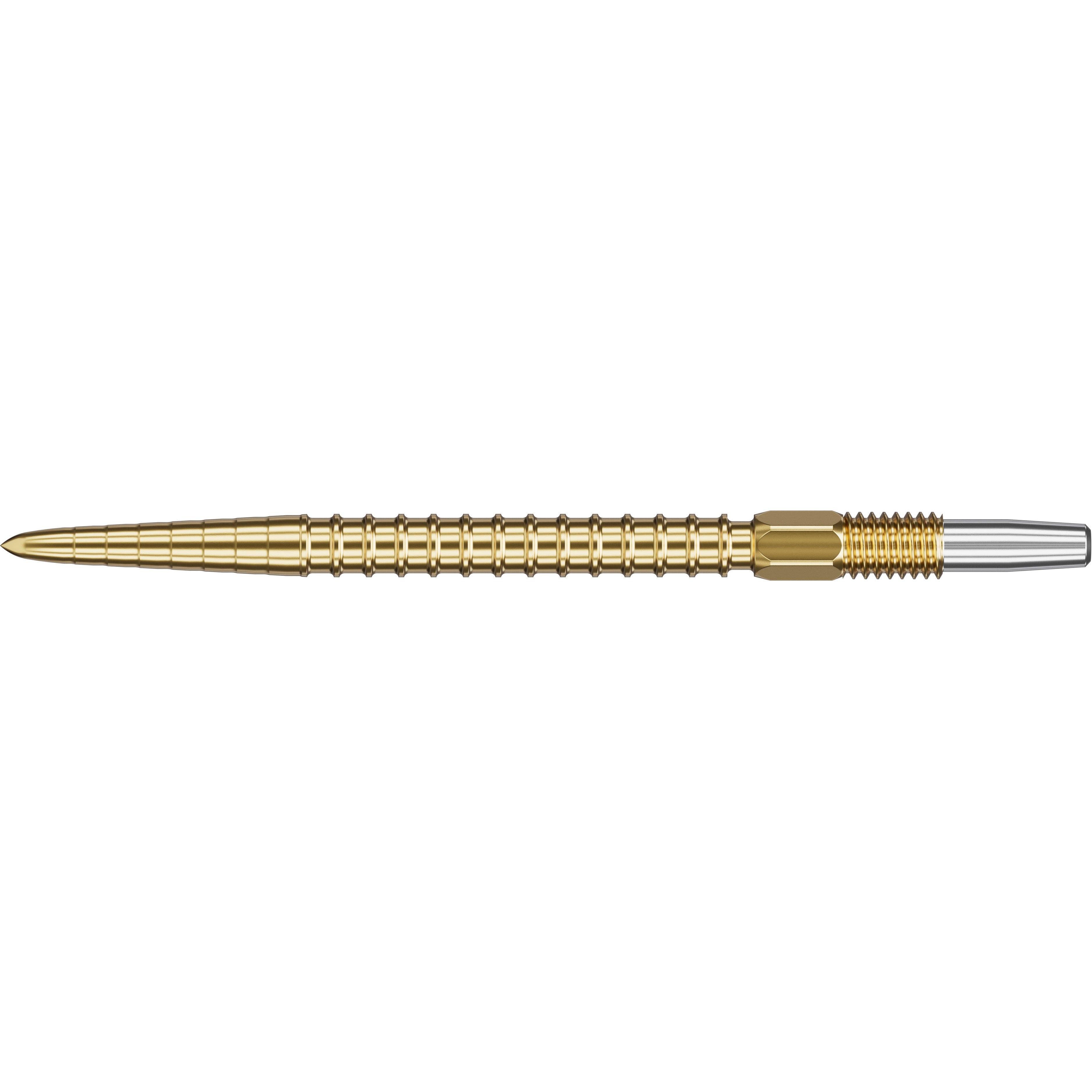 CHRONO SWISS POINTS 2024 - DreamDarts Dartshop