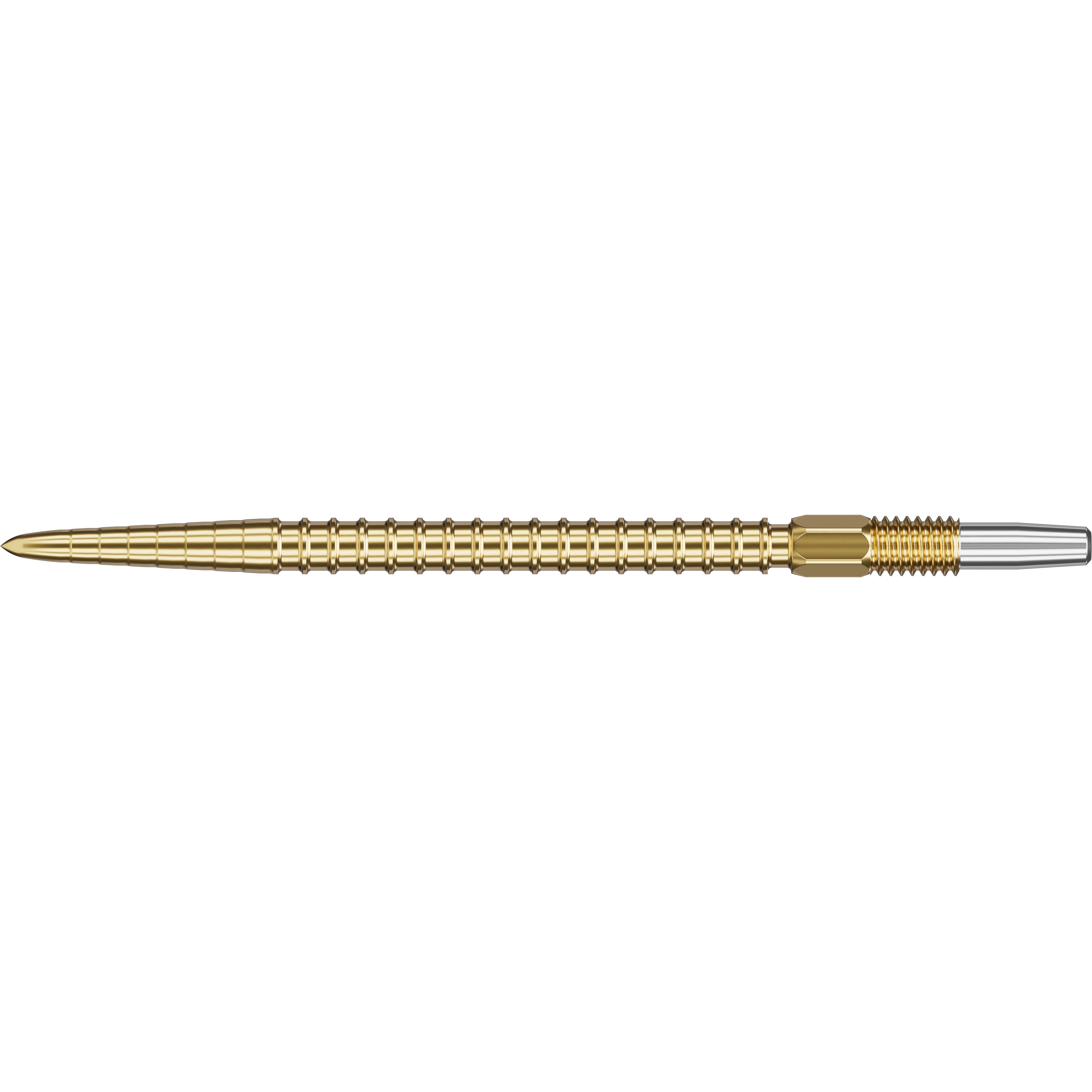 CHRONO SWISS POINTS 2024 - DreamDarts Dartshop