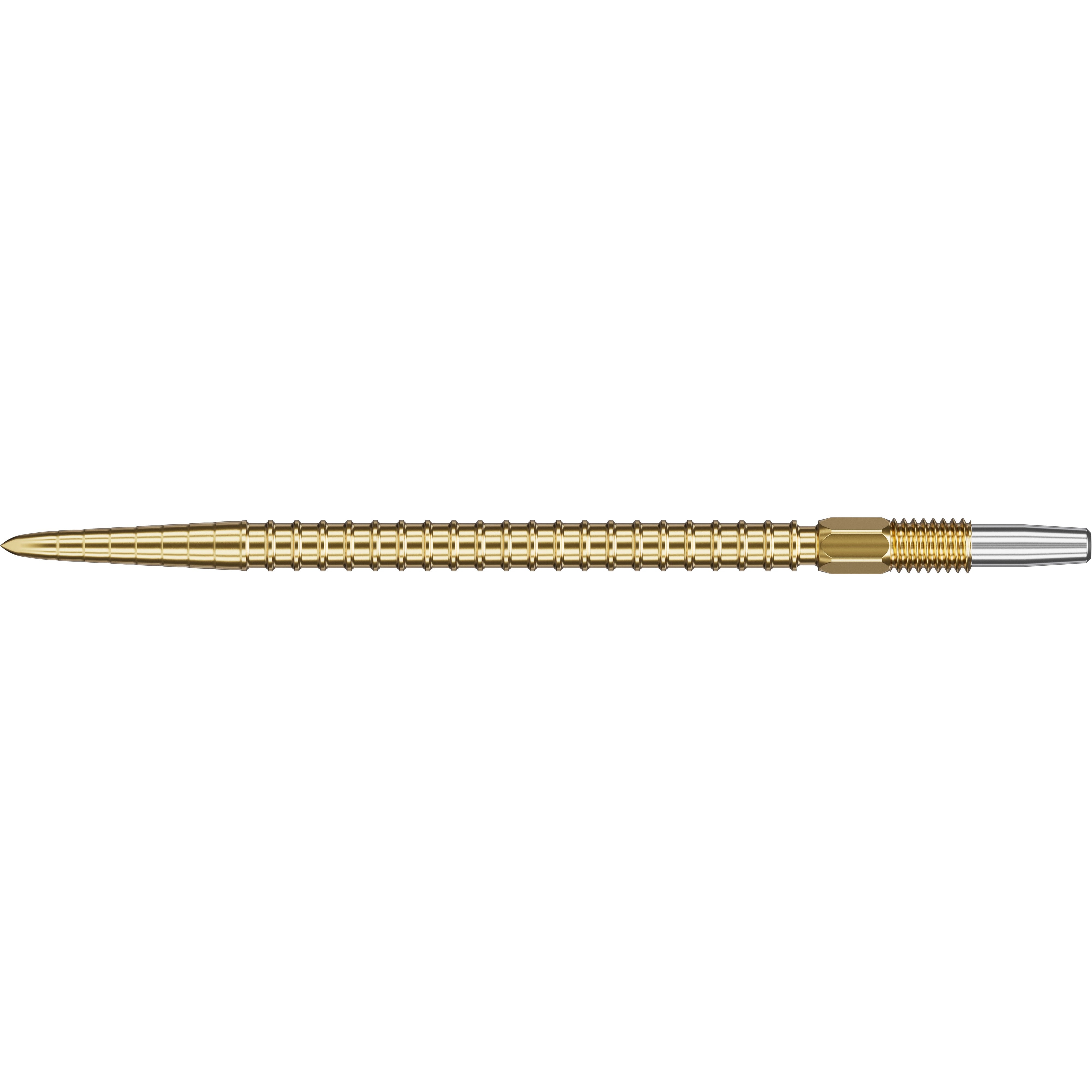 CHRONO SWISS POINTS 2024 - DreamDarts Dartshop