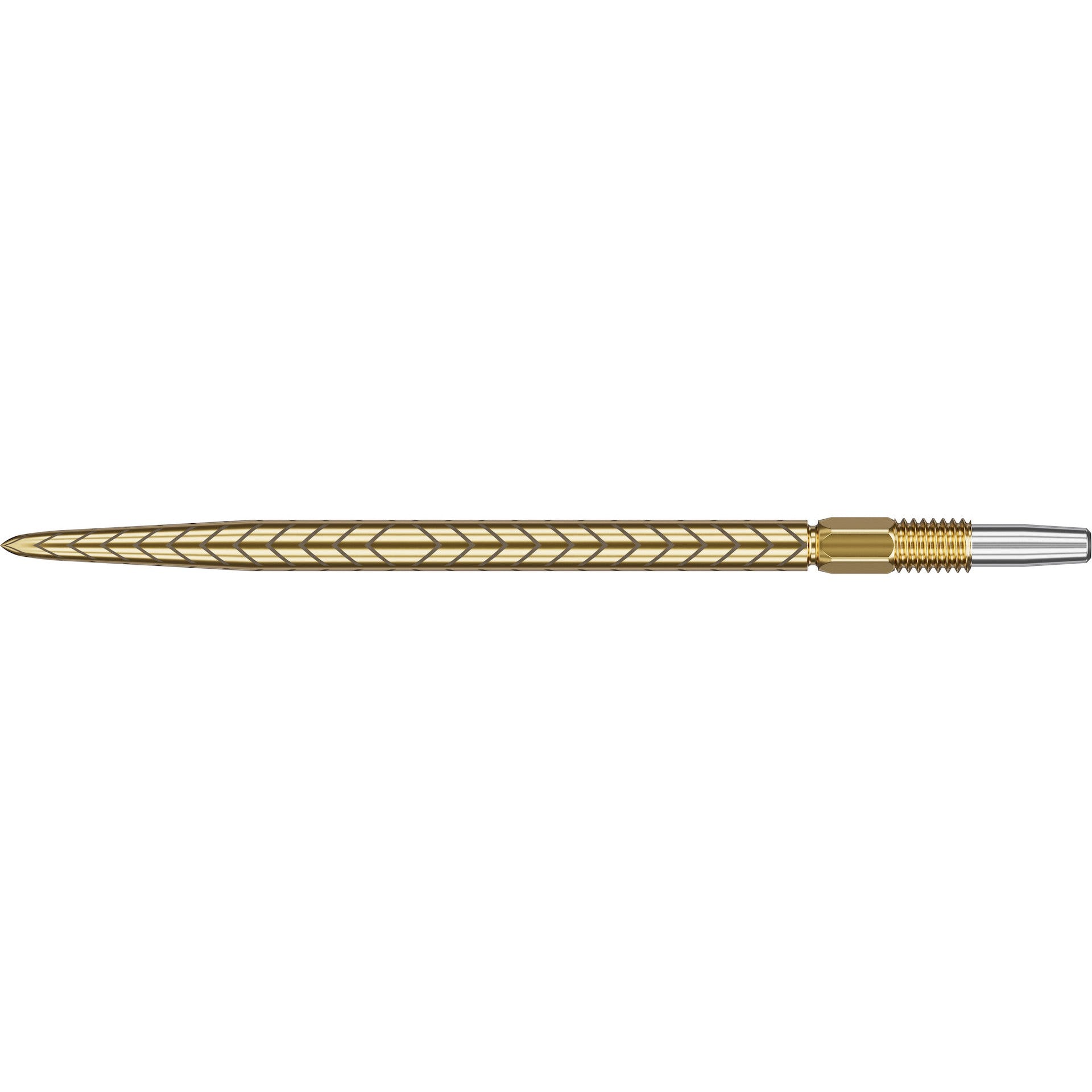 RVE SWISS POINTS 2024 - DreamDarts Dartshop