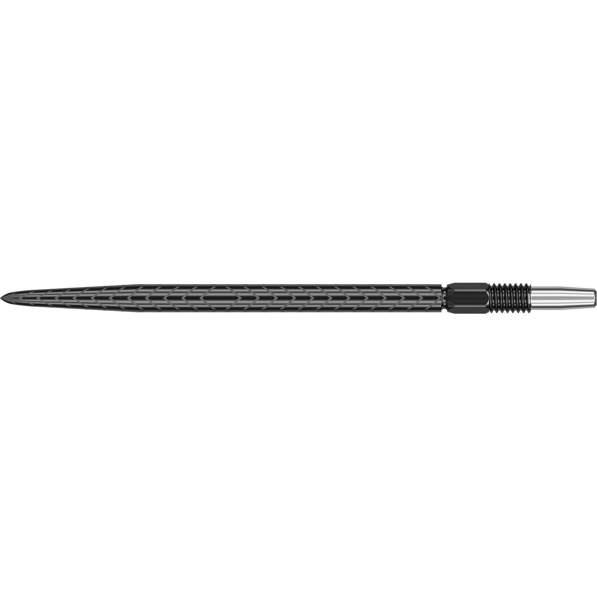 RVE SWISS POINTS 2024 - DreamDarts Dartshop