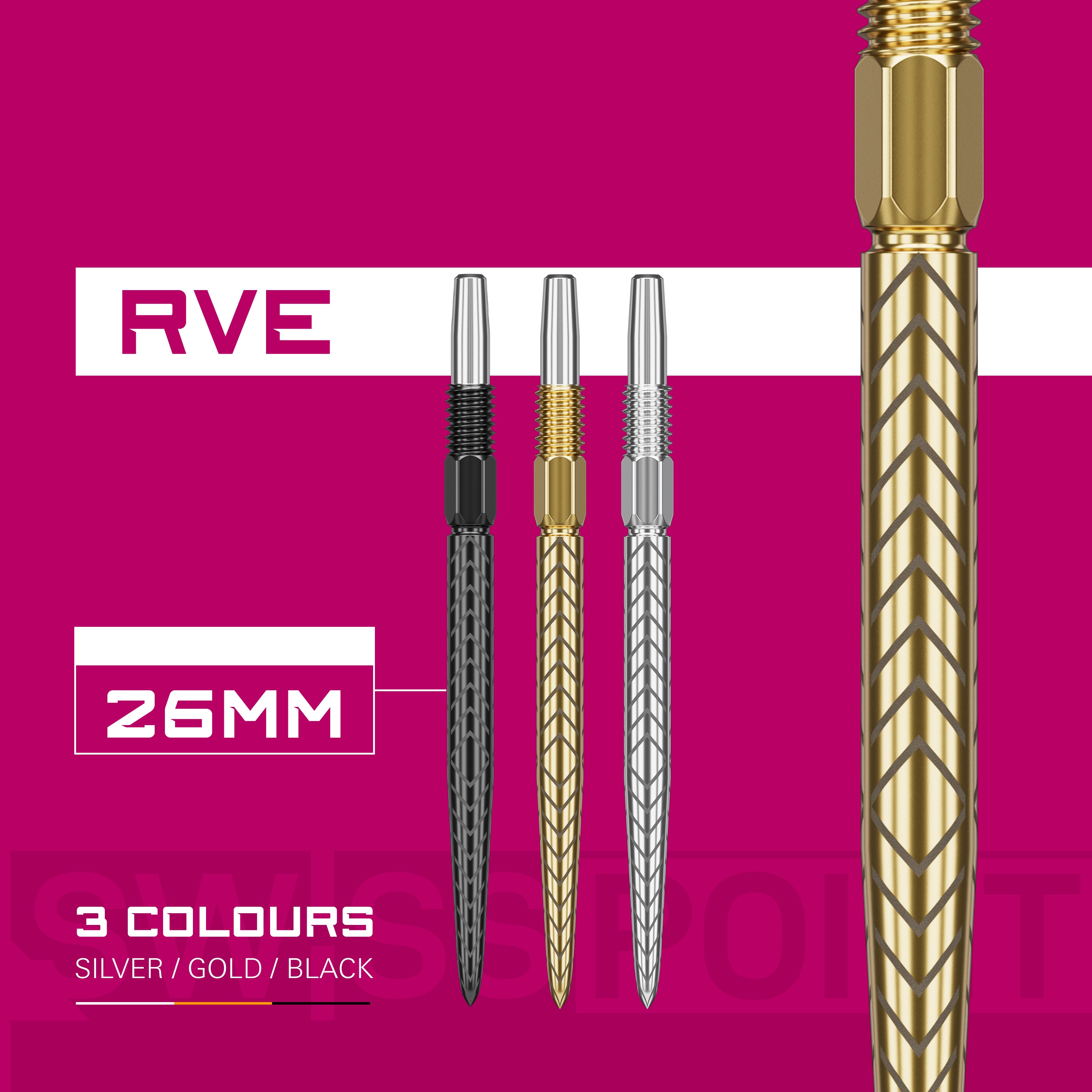 RVE SWISS POINTS 2024 - DreamDarts Dartshop