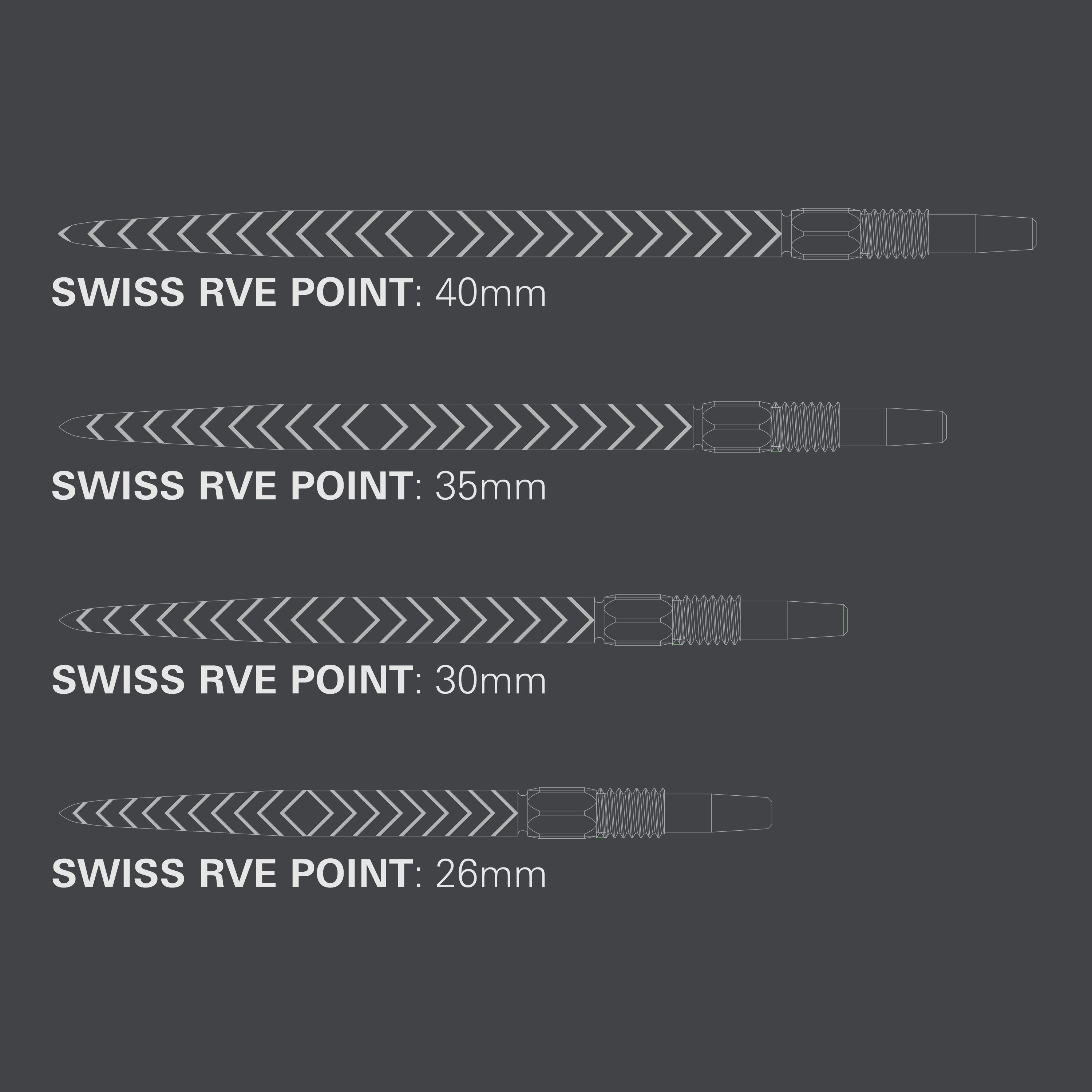 RVE SWISS POINTS 2024 - DreamDarts Dartshop