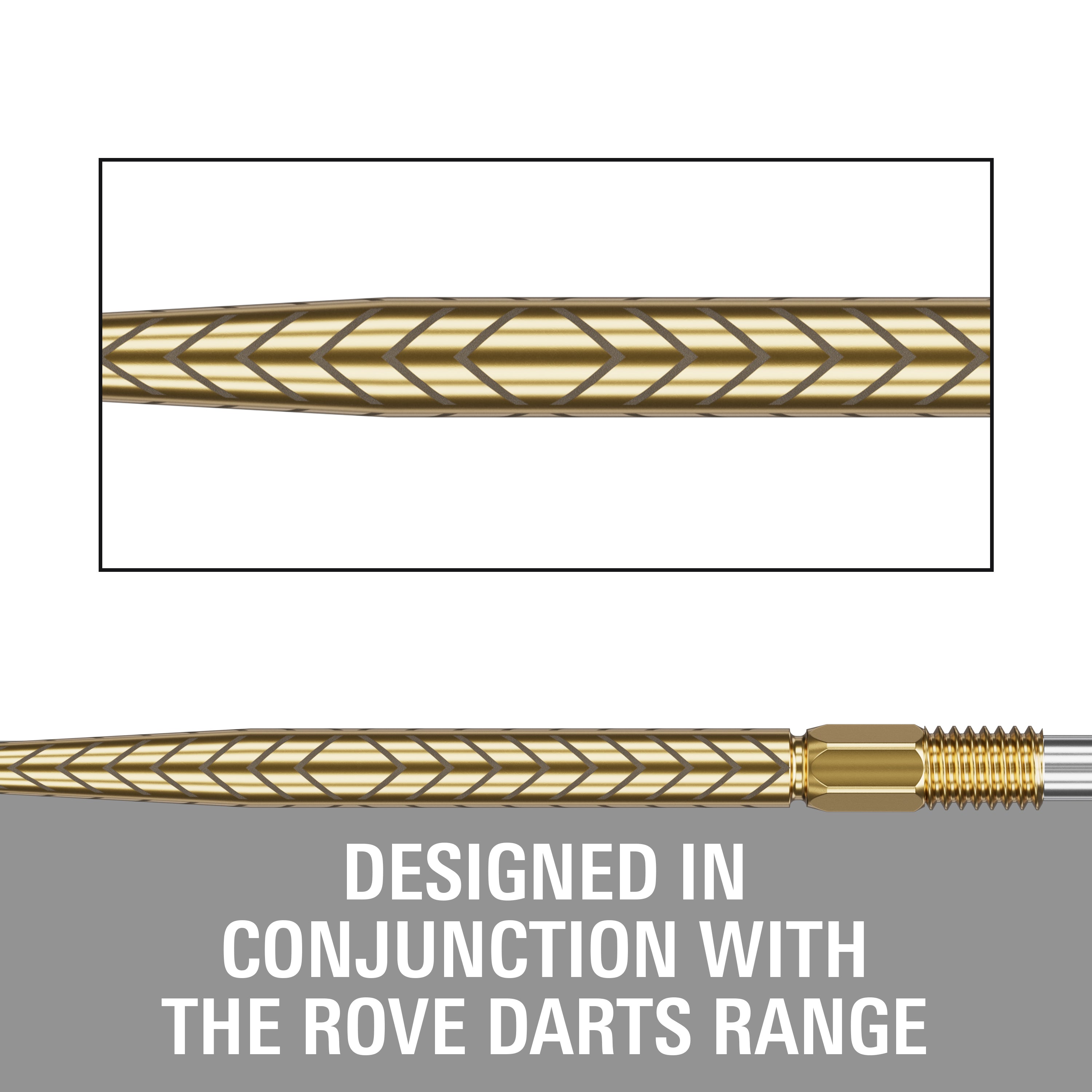 RVE SWISS POINTS 2024 - DreamDarts Dartshop