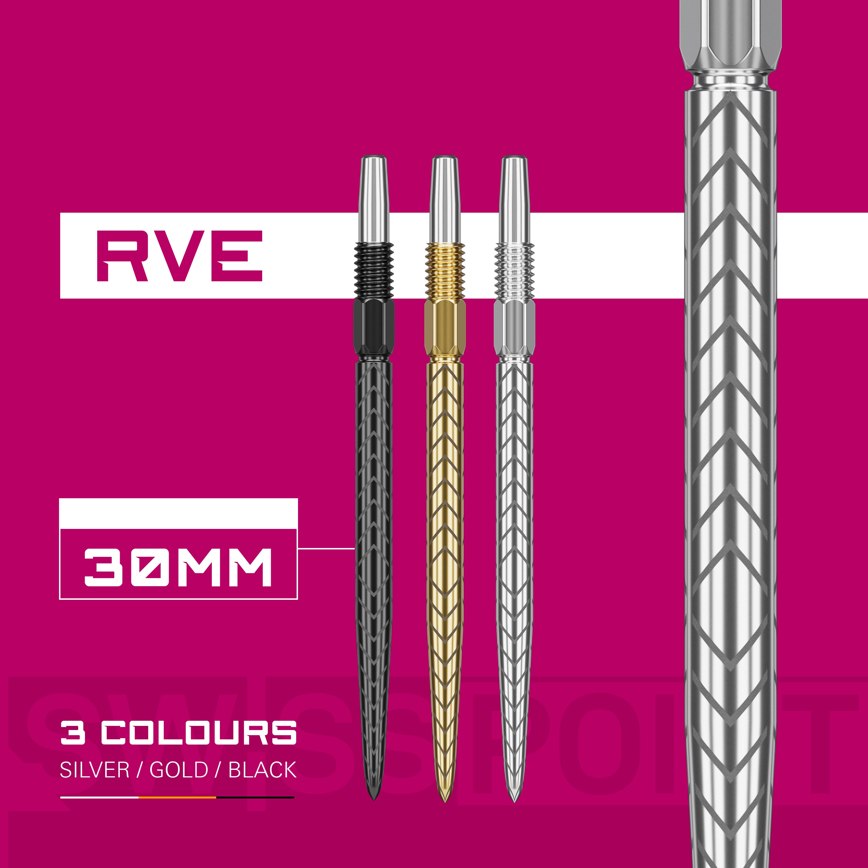 RVE SWISS POINTS 2024 - DreamDarts Dartshop