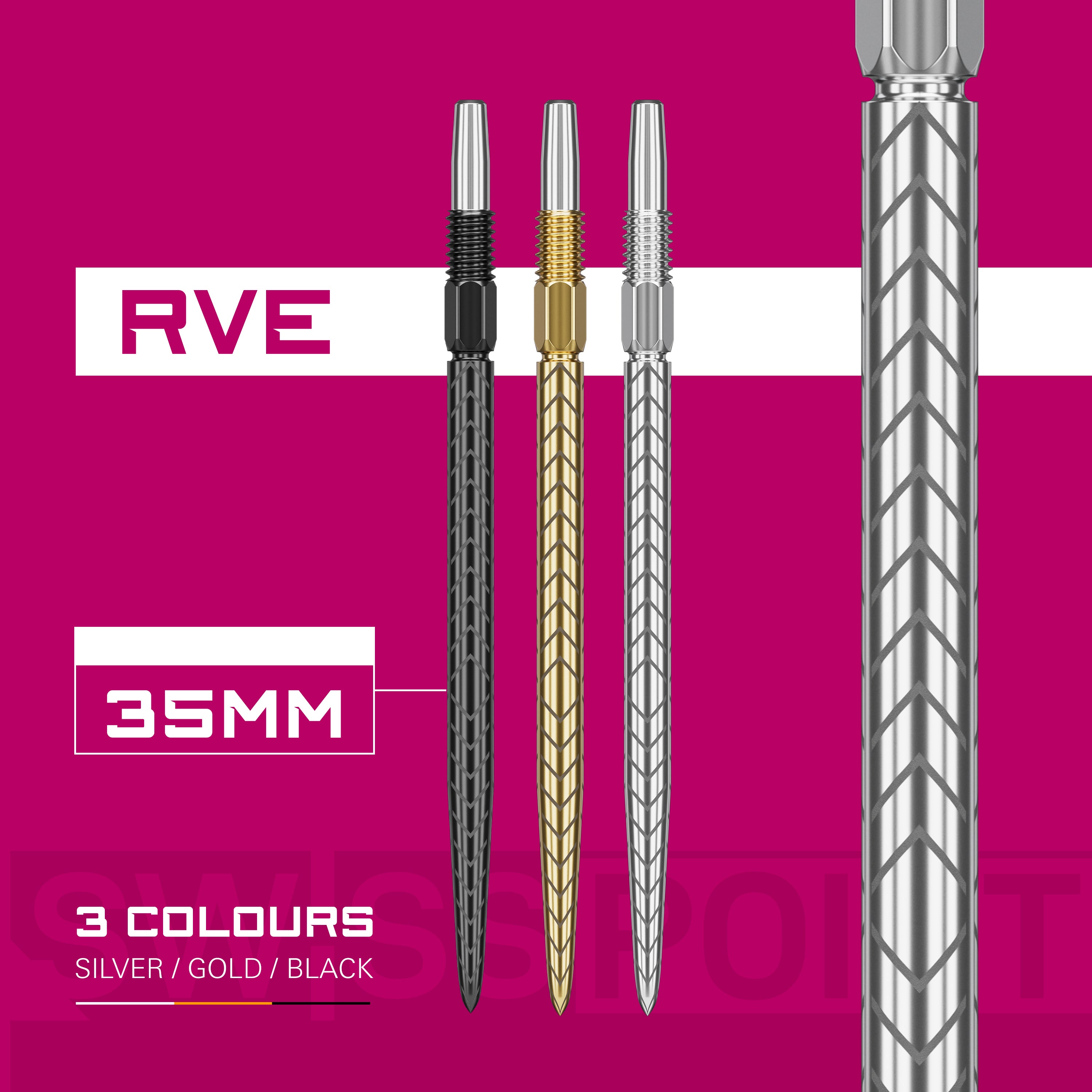 RVE SWISS POINTS 2024 - DreamDarts Dartshop