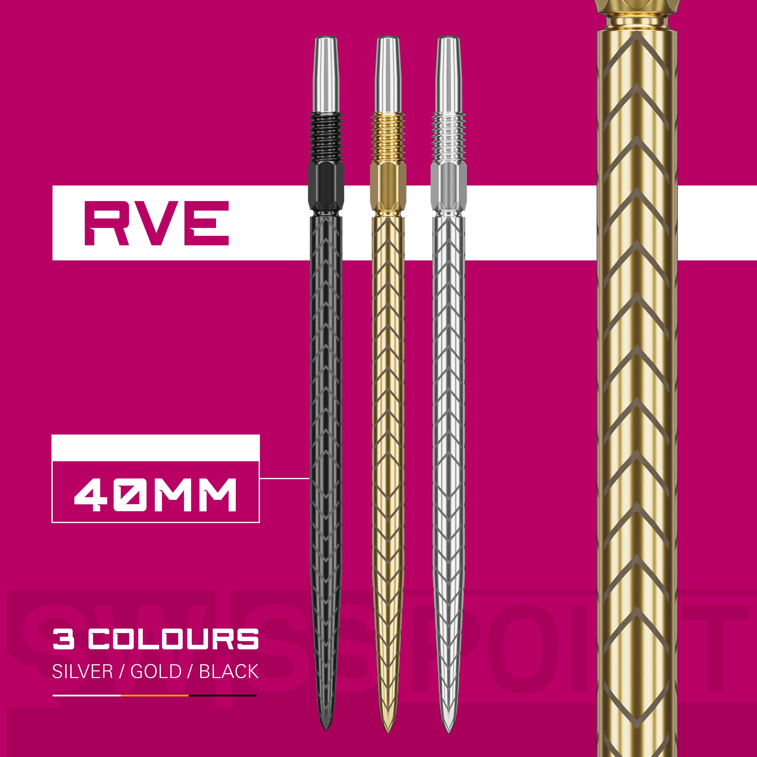RVE SWISS POINTS 2024 - DreamDarts Dartshop