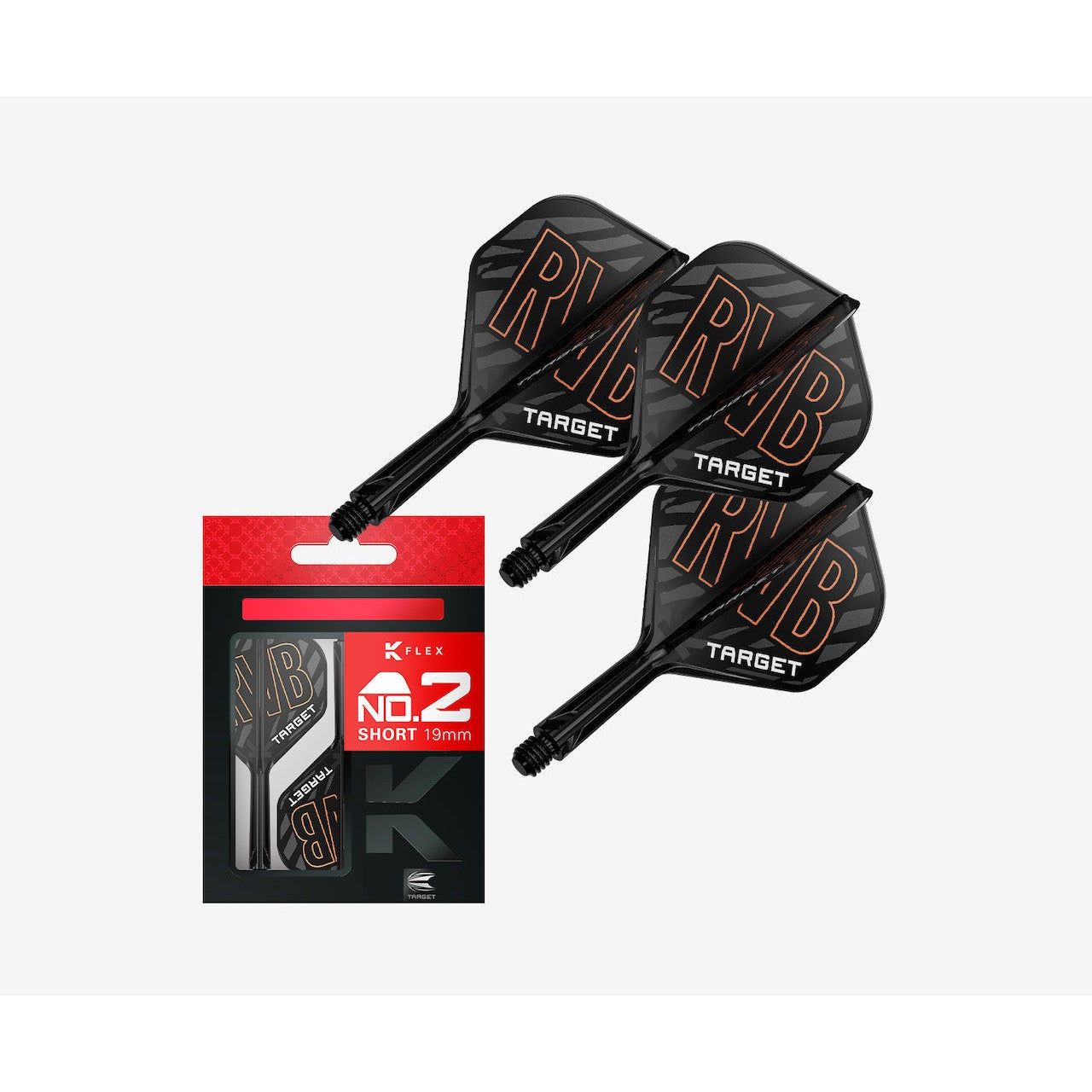 Raymond van Barneveld K-Flex No.2 - DreamDarts Dartshop