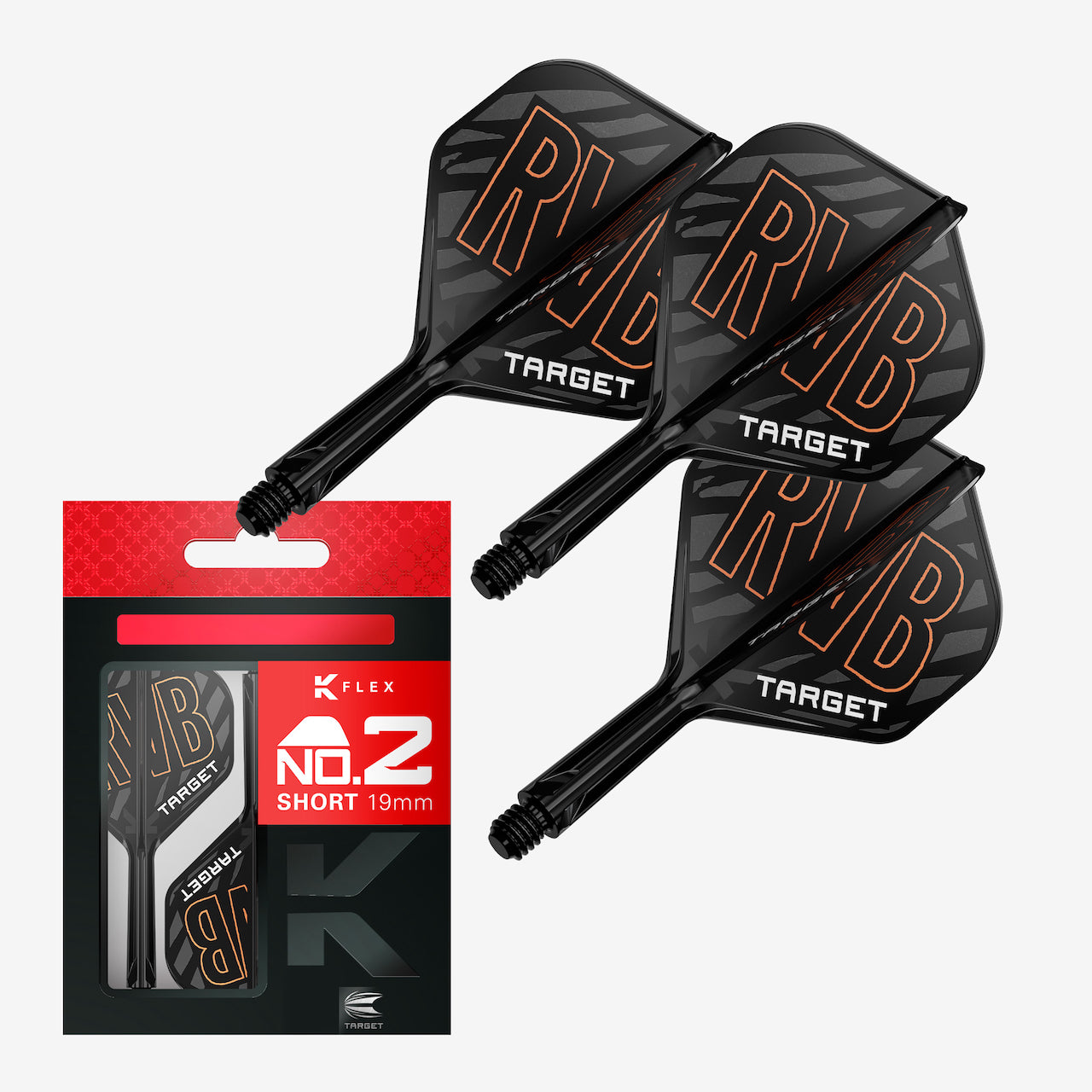 Raymond van Barneveld K-Flex No.2 - DreamDarts Dartshop