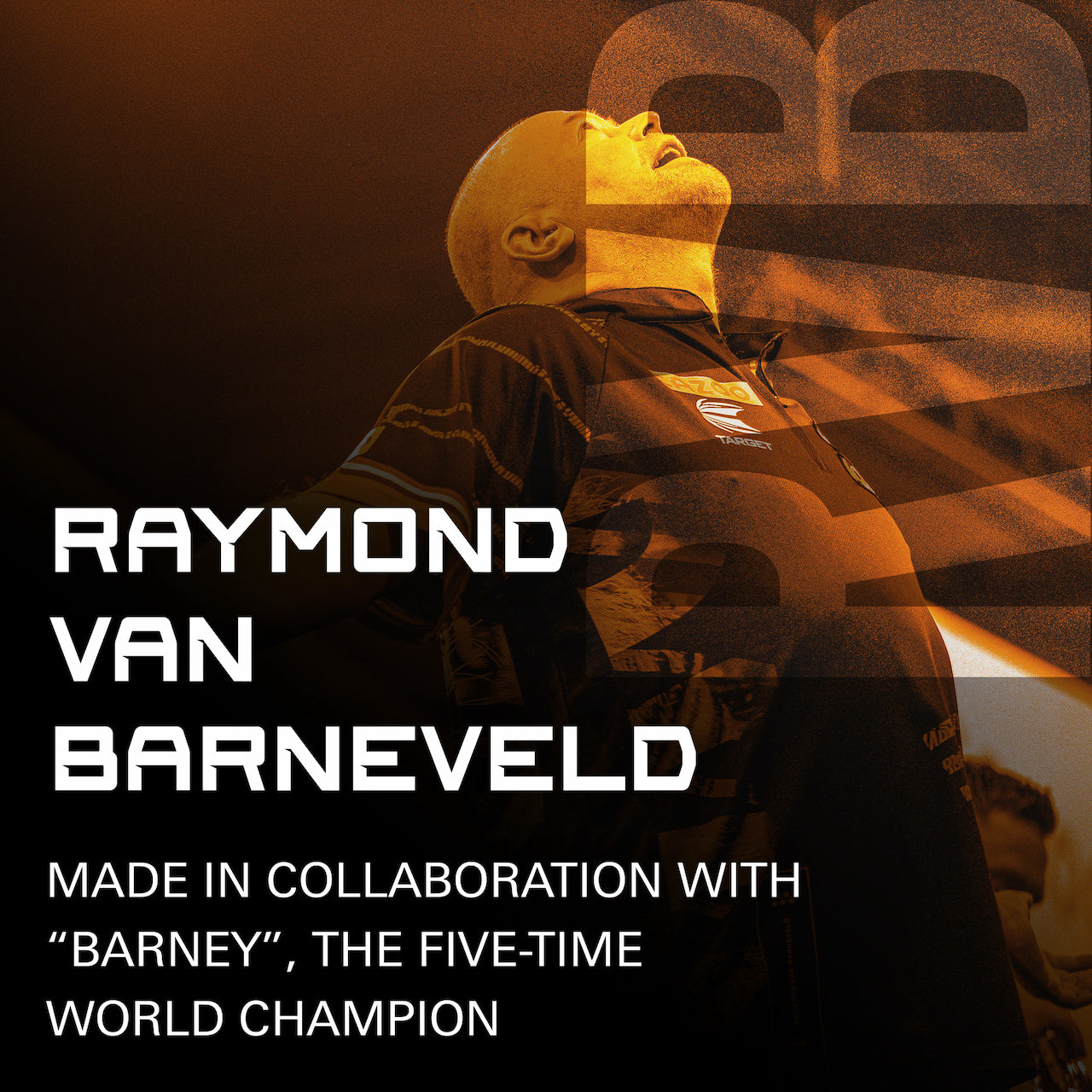 Raymond van Barneveld K-Flex No.2 - DreamDarts Dartshop