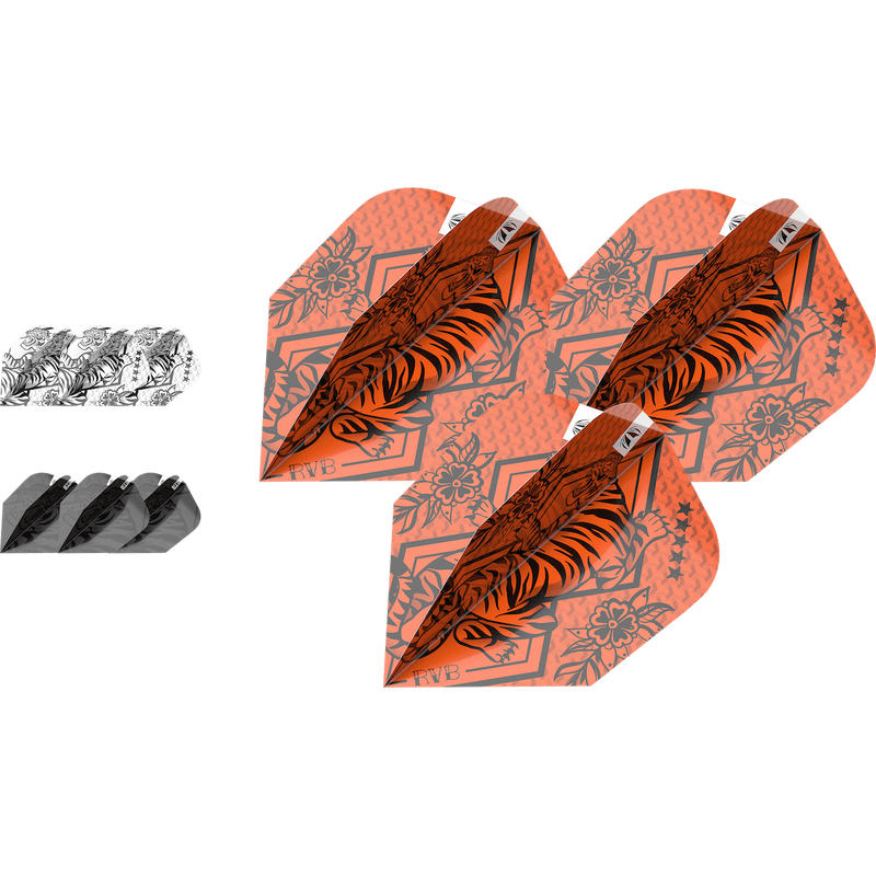 Raymond van Barneveld INK Flight Bundle - DreamDarts Dartshop