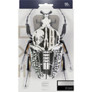 EXO 10 90% Softdarts - DreamDarts Dartshop