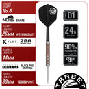 George Nishitani Raptor Gen6 90% Steeldarts - DreamDarts Dartshop