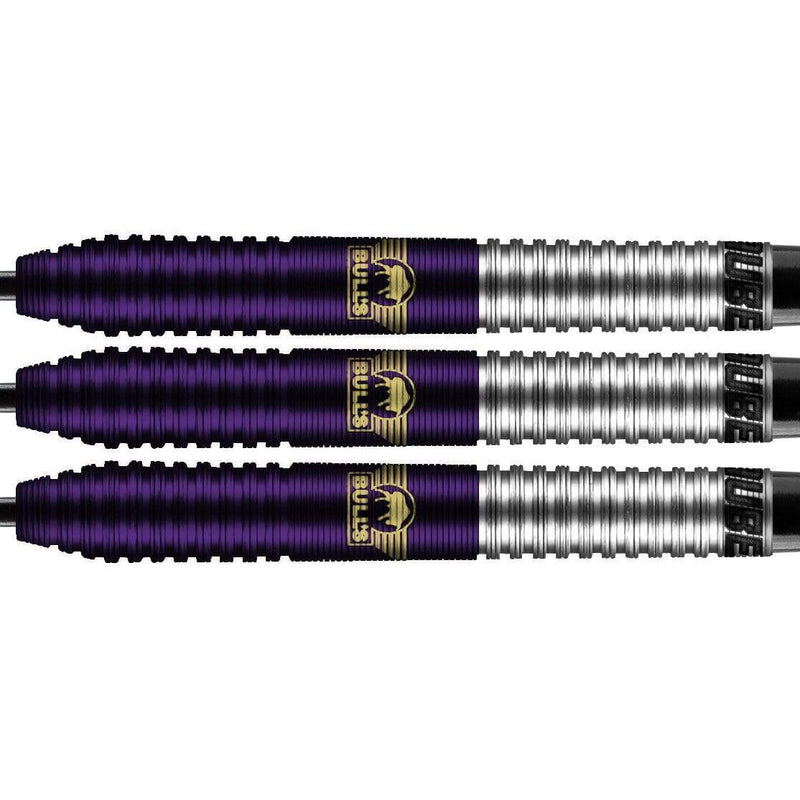 Dirk van Duijvenbode 90% Aubergenius Steeldarts - DreamDarts Online Dartshop