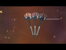Fury 90% Tungsten Steeldarts
