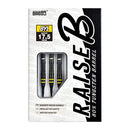 Raise B BYL Softdarts - DreamDarts Dartshop