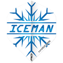 Gerwyn Price Dart Flights Card - DreamDarts Dartshop