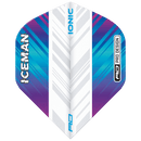 Gerwyn Price Dart Flights Card - DreamDarts Dartshop