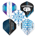 Gerwyn Price Dart Flights Card - DreamDarts Dartshop