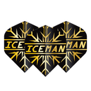 Gerwyn Price Gold Snowflake Flights - DreamDarts Dartshop