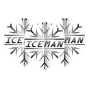 Gerwyn Price Grey Snowflake Flights - DreamDarts Dartshop