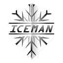 Gerwyn Price Grey Snowflake Flights - DreamDarts Dartshop