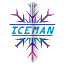 Gerwyn Price Rainbow Snowflake Shape Flights - DreamDarts Dartshop