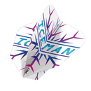 Gerwyn Price Rainbow Snowflake Shape Flights - DreamDarts Dartshop