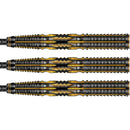 Devon Peterson "The Greatness" 90% Steeldarts - DreamDarts Dartshop