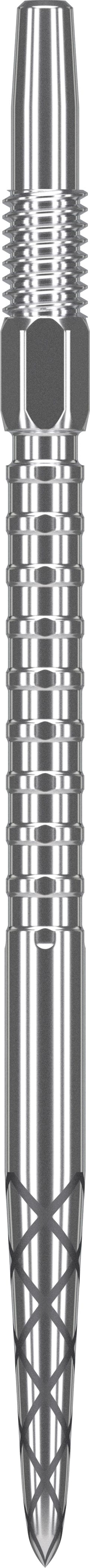 Swiss DS Silver Surge Point - DreamDarts Dartshop