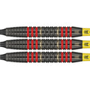 DIMITRI VAN DEN BERGH 18G BRASS SOFT DARTS - DreamDarts Dartshop