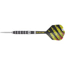 DIMITRI VAN DEN BERGH 80% STEELDARTS - DreamDarts Dartshop