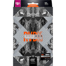 RAYMOND VAN BARNEVELD RvB95 X Echo Steeldarts - DreamDarts Dartshop