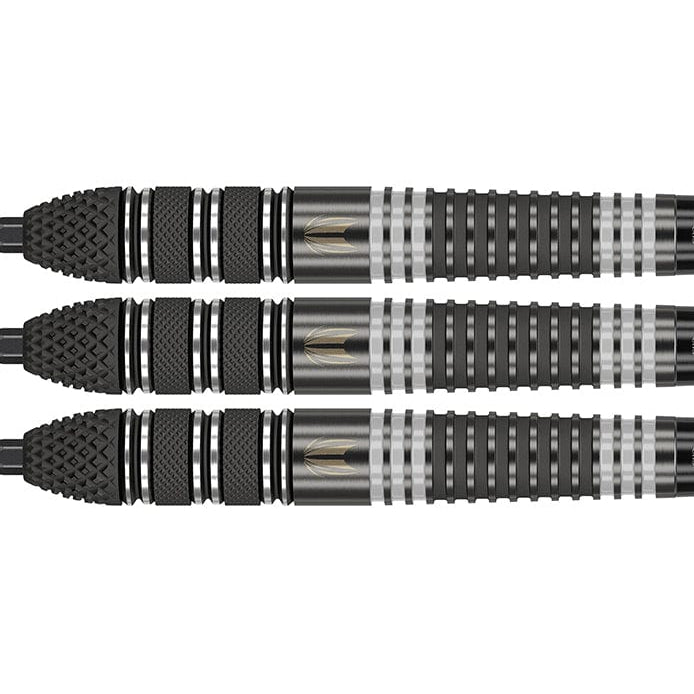 RAYMOND VAN BARNEVELD RvB95 X Echo Steeldarts - DreamDarts Dartshop