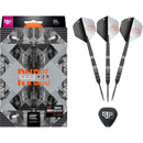 RAYMOND VAN BARNEVELD RvB95 X Echo Steeldarts - DreamDarts Dartshop