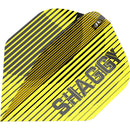 Scott "Shaggy" Williams G1 90% Steeldarts - DreamDarts Dartshop