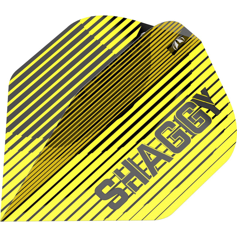Scott "Shaggy" Williams G1 90% Steeldarts - DreamDarts Dartshop